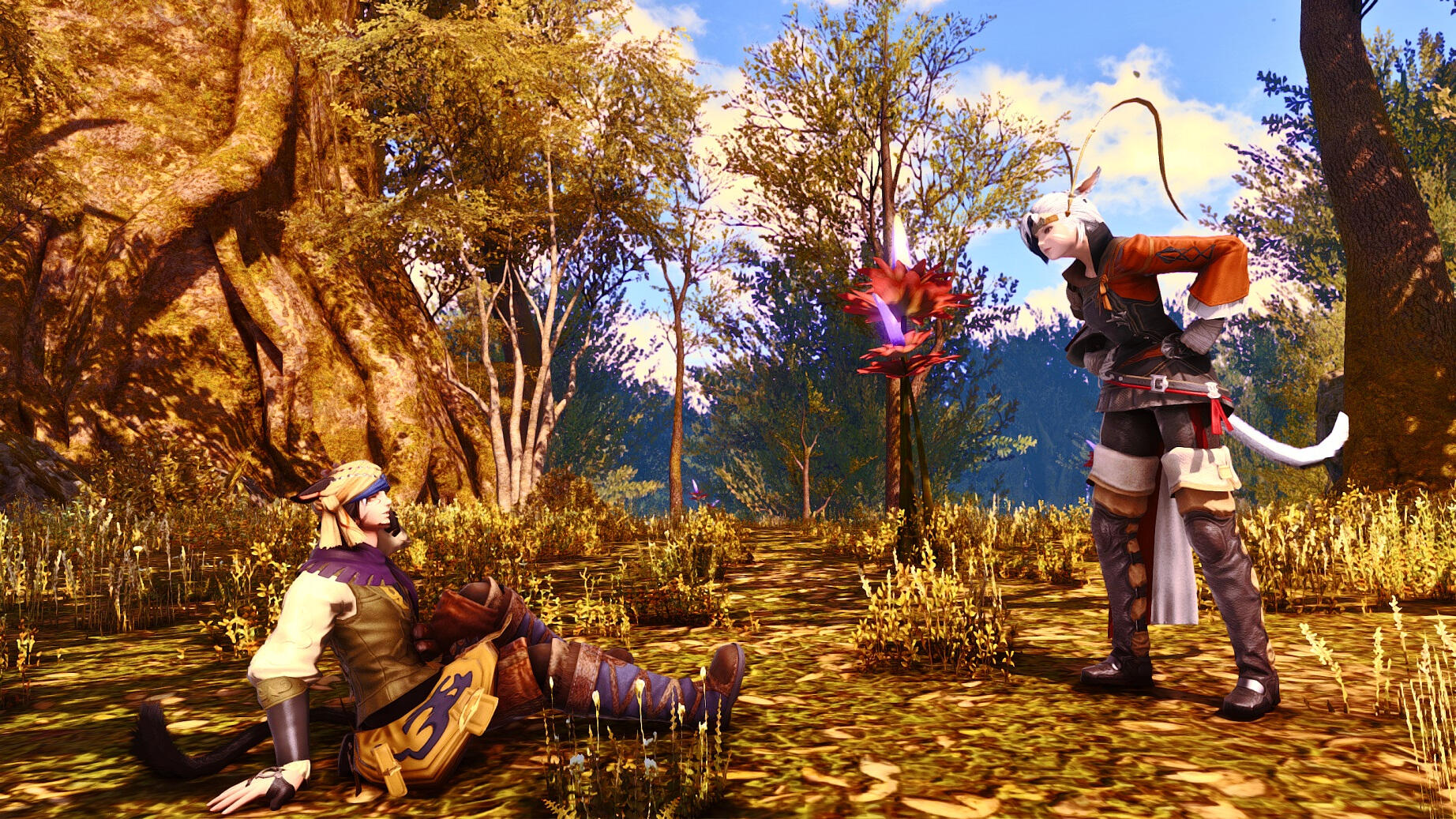 Parents first meeting